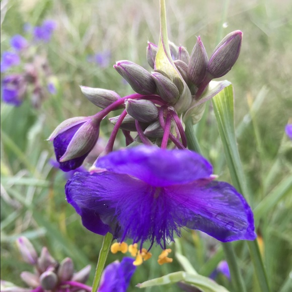 Meet your Posher, Kelly - Picture 4 of 4